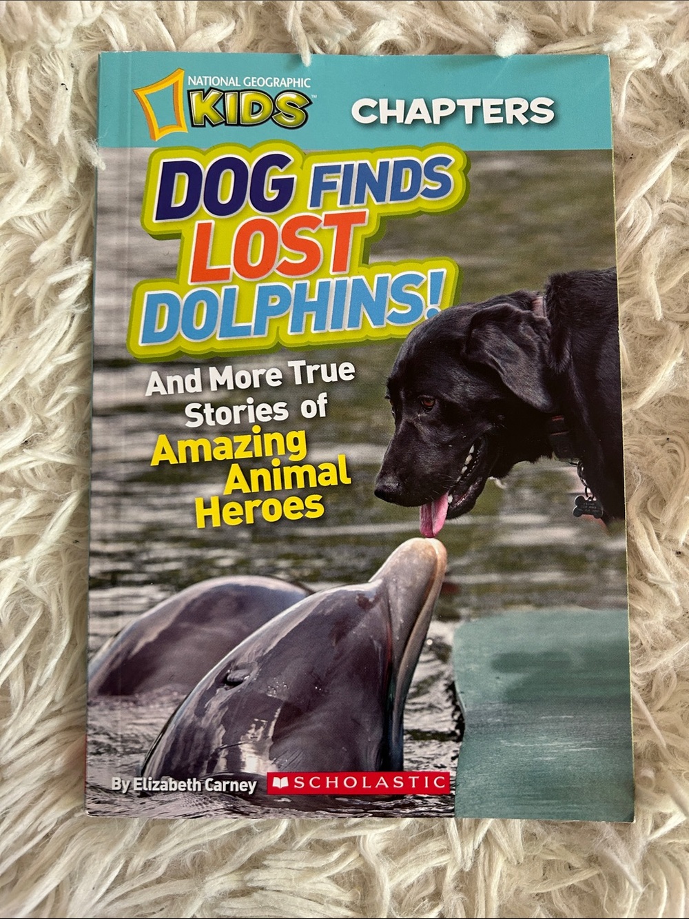 National Geographic Kids Chapters: Dog Finds Lost Dolphins! - small